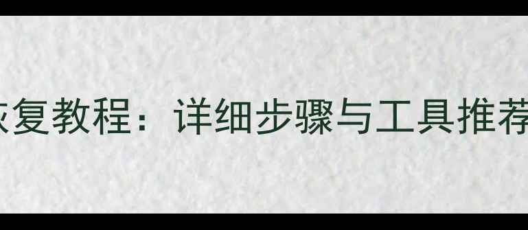 面兜兜数据恢复教程详细步骤与工具推荐最新版
