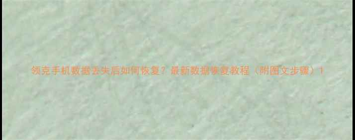 图片 领克手机数据丢失后如何恢复？最新数据恢复教程（附图文步骤）1