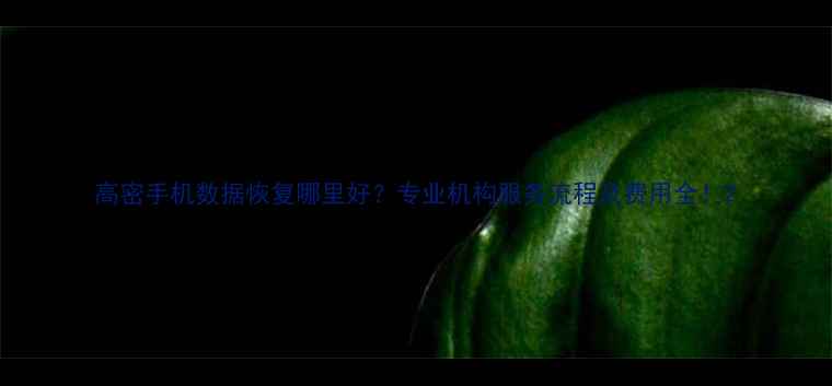 图片 高密手机数据恢复哪里好？专业机构服务流程及费用全！2