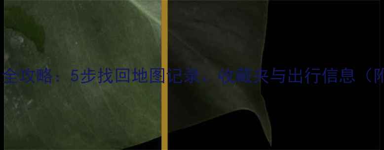 图片 高德账号数据恢复全攻略：5步找回地图记录、收藏夹与出行信息（附官方验证流程）1