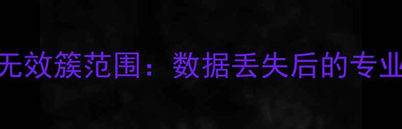 图片 高效恢复无效簇范围：数据丢失后的专业修复指南
