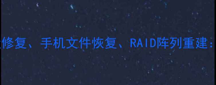 高效数据恢复工具全硬盘修复手机文件恢复RAID阵列重建权威数据恢复方案指南