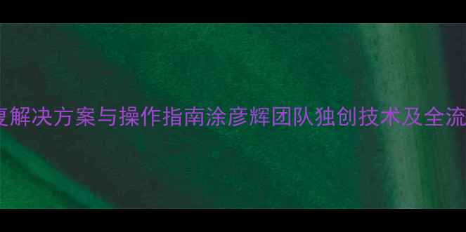 图片 高效数据恢复解决方案与操作指南涂彦辉团队独创技术及全流程操作手册1