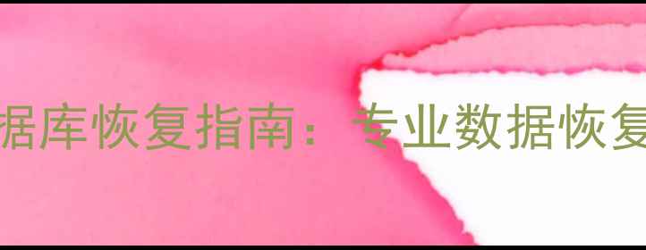 高效解密文件数据库恢复指南专业数据恢复方法与工具推荐