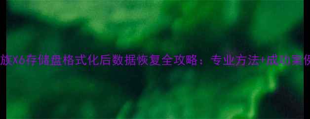 魅族X6存储盘格式化后数据恢复全攻略专业方法成功案例