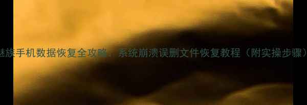 图片 魅族手机数据恢复全攻略：系统崩溃误删文件恢复教程（附实操步骤）