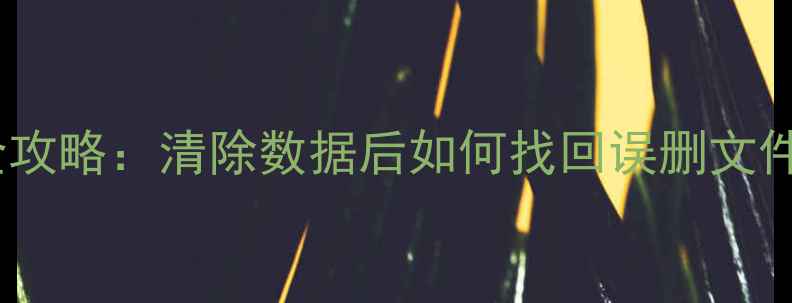 图片 魅蓝2数据恢复全攻略：清除数据后如何找回误删文件（附详细教程）
