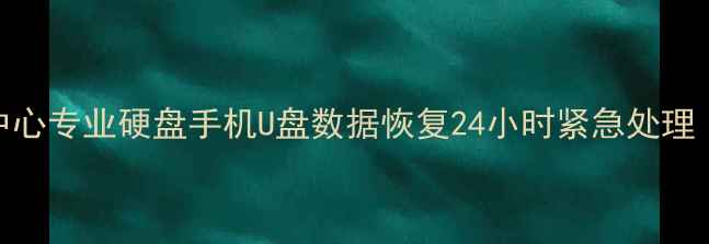 图片 鱼台县数据恢复服务中心专业硬盘手机U盘数据恢复24小时紧急处理（鱼台本地服务团队）