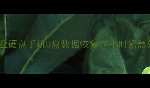 图片 鱼台县数据恢复服务中心专业硬盘手机U盘数据恢复24小时紧急处理（鱼台本地服务团队）1
