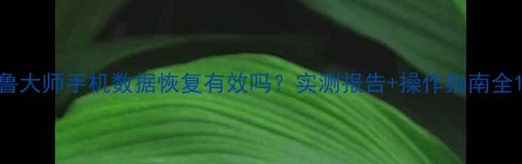 鲁大师手机数据恢复有效吗实测报告操作指南全