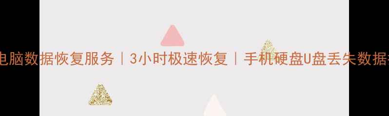 图片 鲁山专业电脑数据恢复服务｜3小时极速恢复｜手机硬盘U盘丢失数据抢救指南2