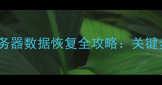 图片 黑客攻击后服务器数据恢复全攻略：关键步骤与成功率2