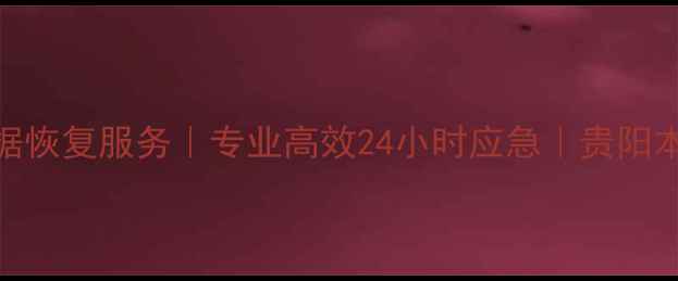 图片 黔南服务器数据恢复服务｜专业高效24小时应急｜贵阳本地数据实验室