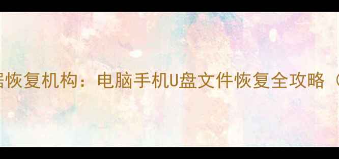 鼎盛达人专业数据恢复机构电脑手机U盘文件恢复全攻略高效解决方案
