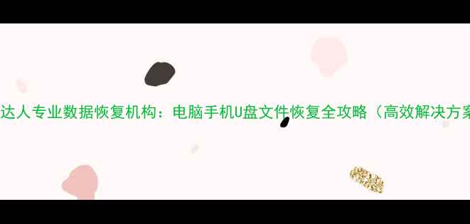 图片 鼎盛达人专业数据恢复机构：电脑手机U盘文件恢复全攻略（高效解决方案）2