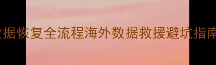 国外硬盘数据恢复全流程海外数据救援避坑指南与核心技术