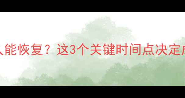 图片 🌟优盘数据删了多久能恢复？这3个关键时间点决定成败！附实操指南📚