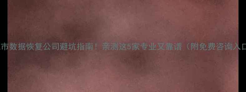 图片 🌟大城市数据恢复公司避坑指南！亲测这5家专业又靠谱（附免费咨询入口）🌟2