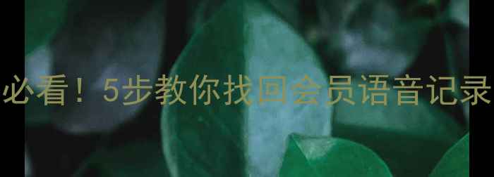 图片 🌟手机录音文件丢失必看！5步教你找回会员语音记录（附免费工具推荐）