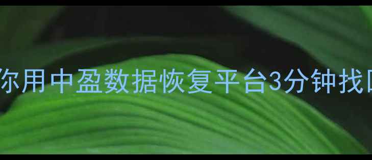 图片 🌟手机数据恢复全攻略手把手教你用中盈数据恢复平台3分钟找回误删照片聊天记录重要文件！1