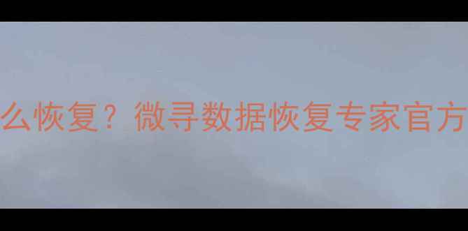 手机文件丢失怎么恢复微寻数据恢复专家官方教程大公开