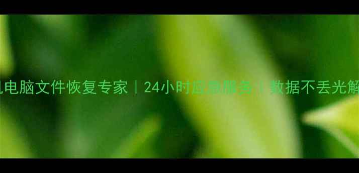 鞍山手机电脑文件恢复专家24小时应急服务数据不丢光解决方案