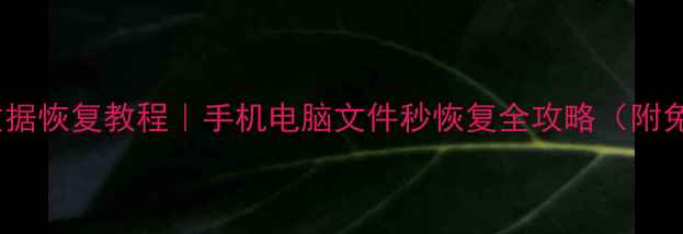 小白兔数据恢复教程手机电脑文件秒恢复全攻略附免费工具包
