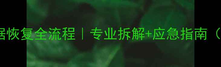 图片 💡手机硬盘数据恢复全流程｜专业拆解+应急指南（附工具清单）1