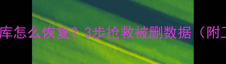 图片 💡误删数据库怎么恢复？3步抢救被删数据（附工具+案例）