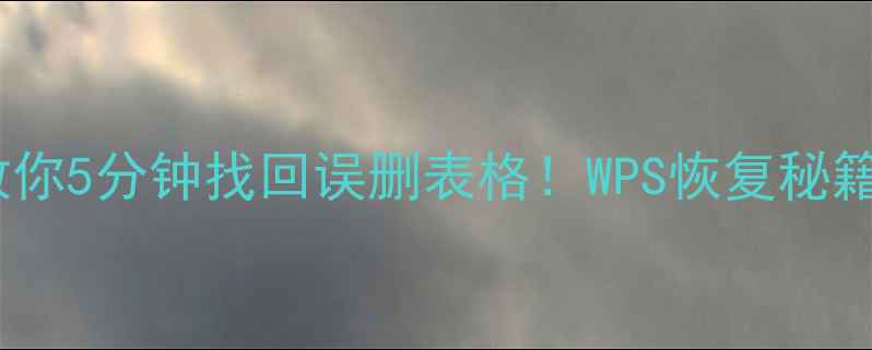 图片 💥手把手教你5分钟找回误删表格！WPS恢复秘籍大公开📊1