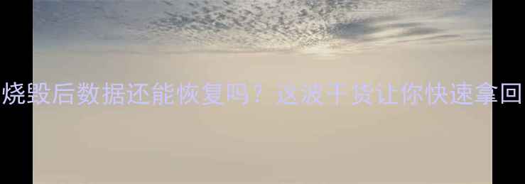 图片 💥手机芯片烧毁后数据还能恢复吗？这波干货让你快速拿回重要资料！