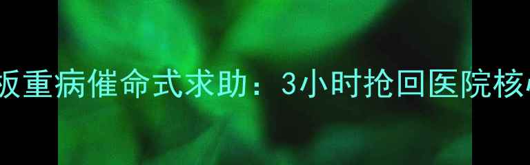 图片 💥突发！老板重病催命式求助：3小时抢回医院核心数据！💥1