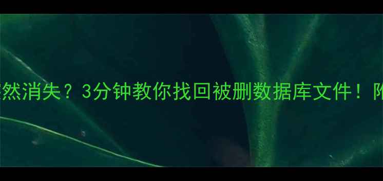 图片 💻Excel表格突然消失？3分钟教你找回被删数据库文件！附独家防丢攻略