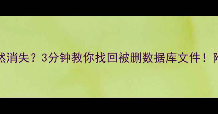 图片 💻Excel表格突然消失？3分钟教你找回被删数据库文件！附独家防丢攻略1