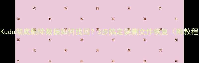 图片 💻Kudu彻底删除数据如何找回？3步搞定误删文件恢复（附教程）