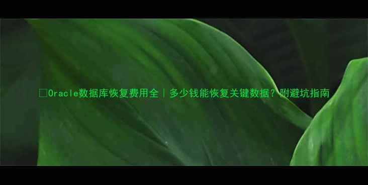 图片 💻Oracle数据库恢复费用全｜多少钱能恢复关键数据？附避坑指南