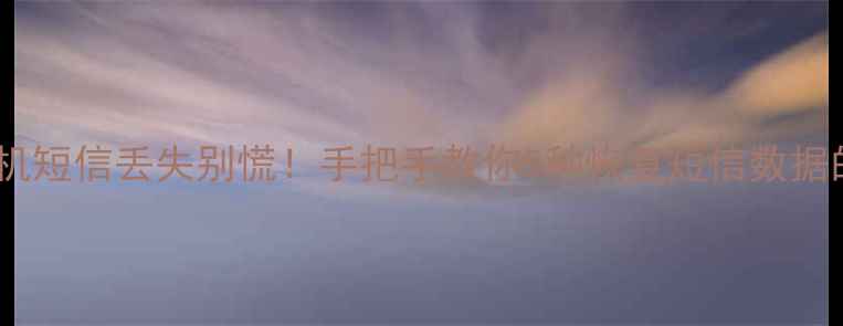 图片 💻✨手机短信丢失别慌！手把手教你5种恢复短信数据的方法2