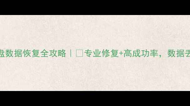 希捷硬盘数据恢复全攻略专业修复高成功率数据丢失别慌