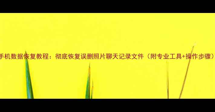 手机数据恢复教程彻底恢复误删照片聊天记录文件附专业工具操作步骤
