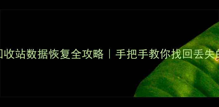 图片 💻电脑回收站数据恢复全攻略｜手把手教你找回丢失的文件📁