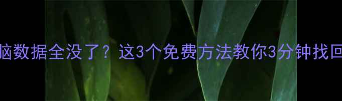 图片 💻重装系统后电脑数据全没了？这3个免费方法教你3分钟找回珍贵文件！💾🔧