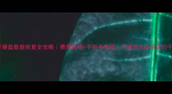 图片 💻💾4T硬盘数据恢复全攻略｜费用透明+手把手教程｜手残党也能学会的干货！2