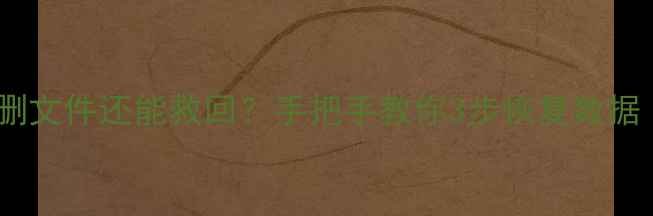 图片 💻💾必看！优盘删文件还能救回？手把手教你3步恢复数据（附免费工具）1