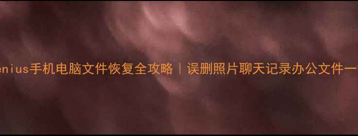 图片 💾DiskGenius手机电脑文件恢复全攻略｜误删照片聊天记录办公文件一键找回🔥