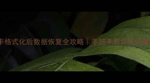 图片 💾S3存储卡格式化后数据恢复全攻略｜手把手教你找回重要文件🔧2