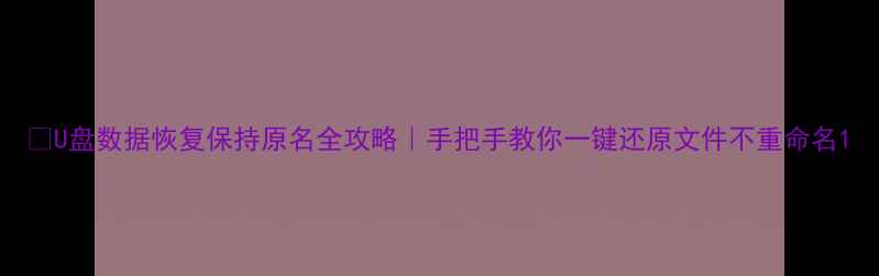 U盘数据恢复保持原名全攻略手把手教你一键还原文件不重命名