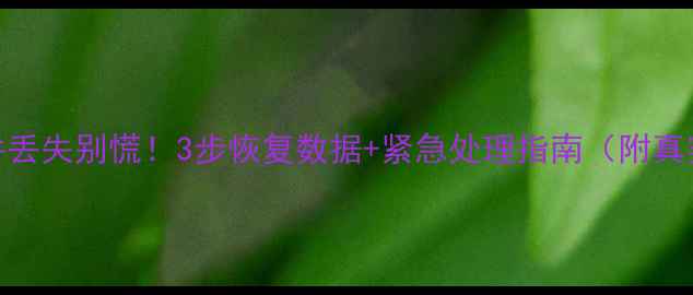 图片 💾U盘文件丢失别慌！3步恢复数据+紧急处理指南（附真实案例）1