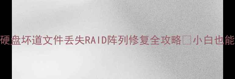 数据恢复必看指南硬盘坏道文件丢失RAID阵列修复全攻略小白也能学会的5步自助恢复法