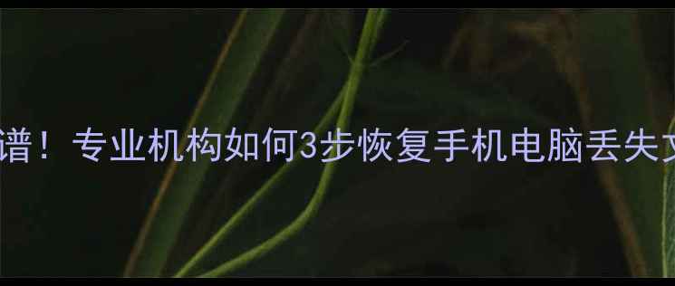 数据恢复服务真靠谱专业机构如何3步恢复手机电脑丢失文件附真实案例