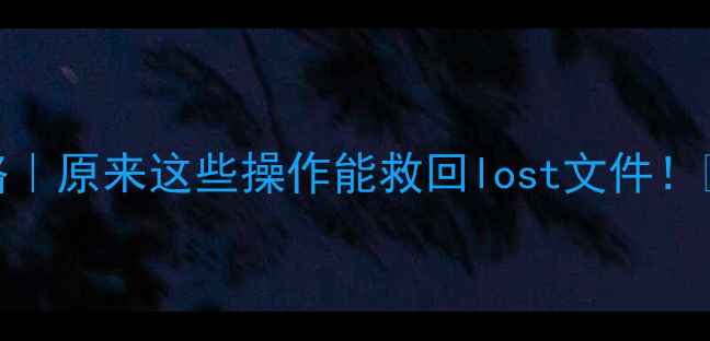 图片 💾硬盘数据恢复全攻略｜原来这些操作能救回lost文件！💡手把手教你3步恢复2